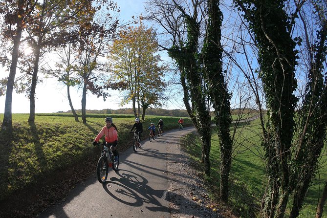 Wine Cycling Tour by E-Bike - Health and Accessibility