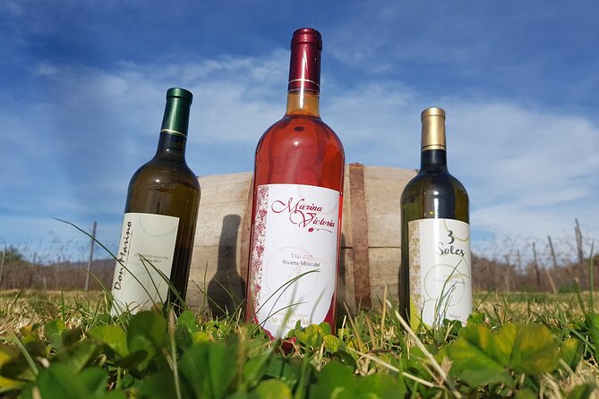 Wine, Singani & Cheese Tasting Tour - Half Day - Private Service - Exploring Tarijas Wine and Singani