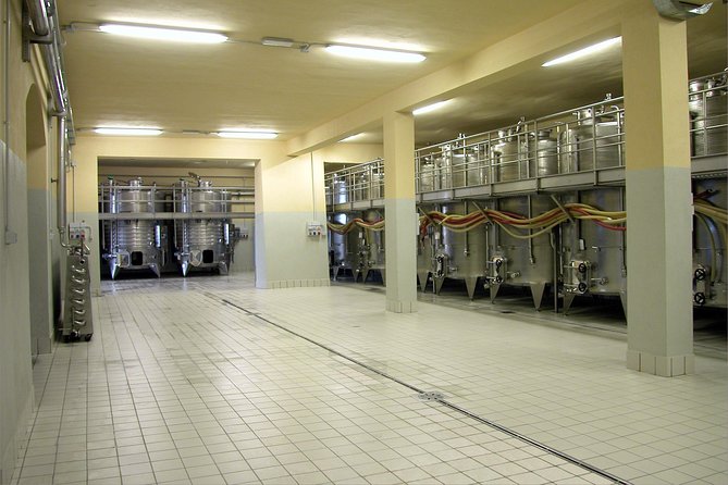 Wine Tasting and Guided Tour of the Cellar - Cancellation Policy