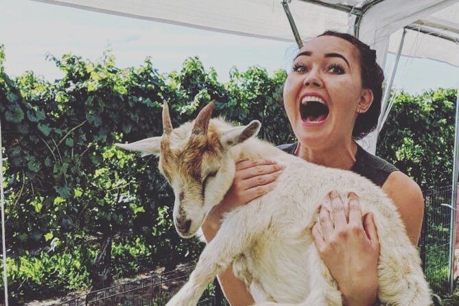 Wine Tasting and Nigerian Dwarf Goats Experience - Guided Education on Goats