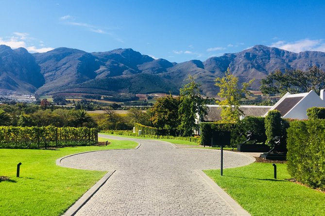 Wine Tasting - Boutique Farms - Tasting Notes and Flavor Profiles