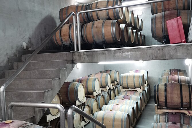 Wine Tasting Experience at the Organic Winery in ŠIšAn - Local Snacks and Pairings