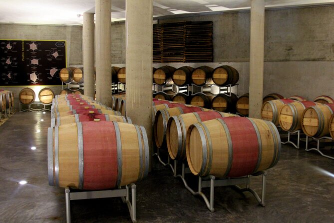 Wine Tasting Experience in Oltrepò - 3-Wine Tasting With Stunning Views