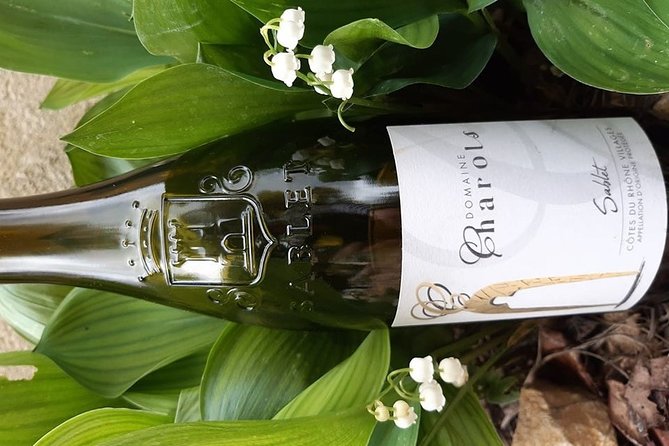 Wine Tasting in Sablet - Review Highlights