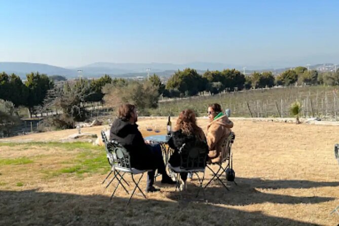 Wine Tasting Tour at Two Wineries in Urla Turkey - Knowledgeable Local Guide