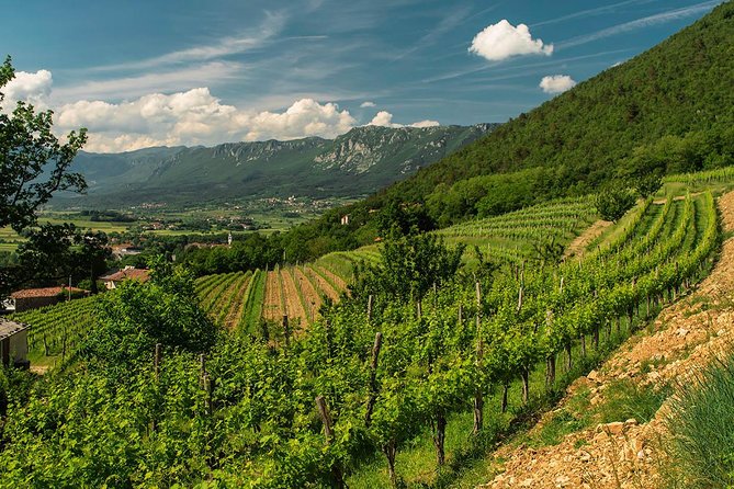 Wine Tasting With Cold Cuts - Tasting Experience