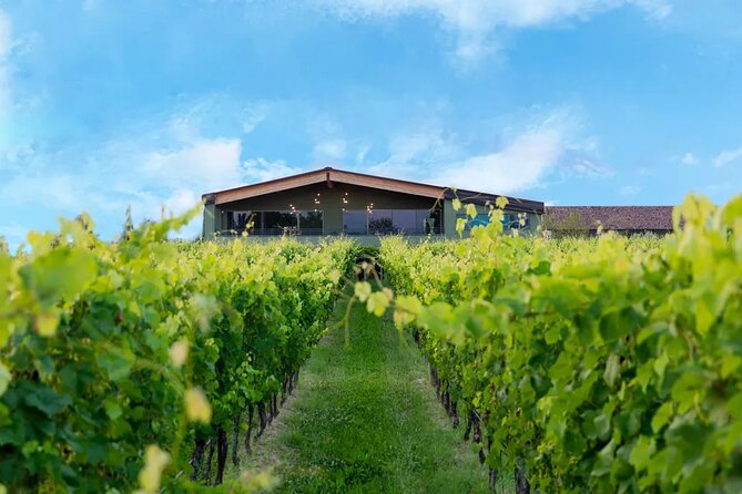 Wine Tour and Tasting of Lugana Wines in Desenzano - Meeting and End Points