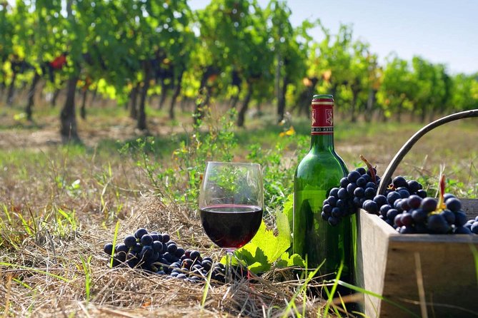 Wine Tour in Armenia - Confirmation and Additional Info