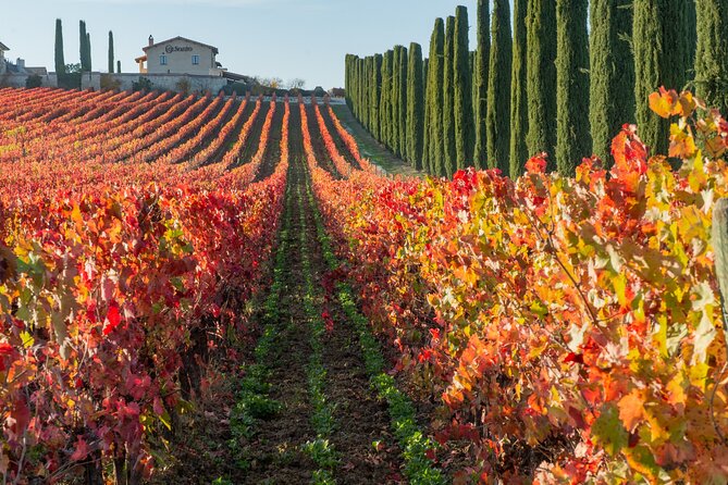 Wine Tour in Umbria Along the Sagrantino Trail With Light Lunch - Winery Visits