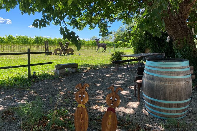 Winery Tour and Tasting in Grado - Reviews and Feedback