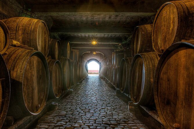 Winery Tour and Tasting in Tenerife With the Sommelier - Guided Tasting Experience