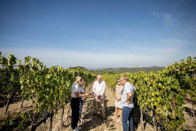 Winery Tour & Gourmet Tasting in Montalcino - Meeting Point and Directions