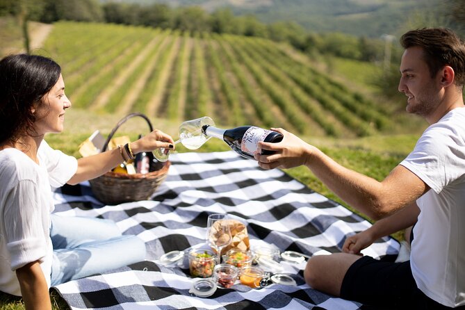 Winery Tour & Picnic in the Vineyard With a Bottle of Wine - Reviews and Cancellation Policy