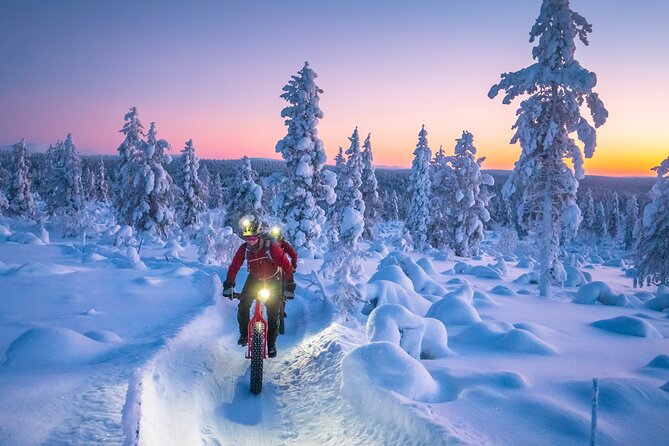 Winter Afternoon Group Ride in Saariselkä - Participant Requirements