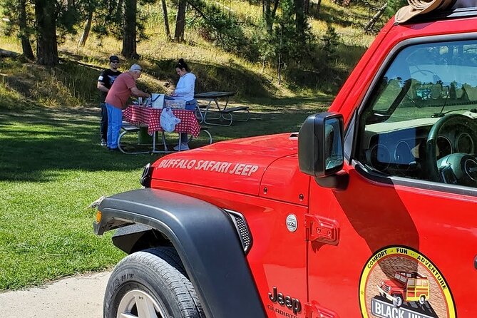 Winter - Custer Bison Safari + Black Hills Sunset & Stargazing - Picnic Lunch Experience