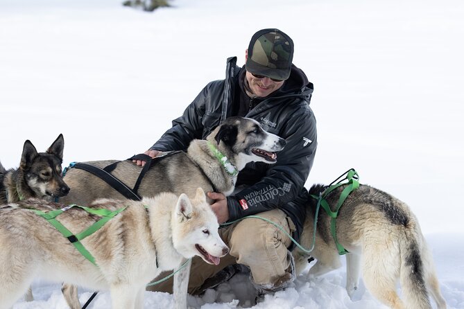 Winter Dog Sled Tour: Day or Night. - Health and Safety