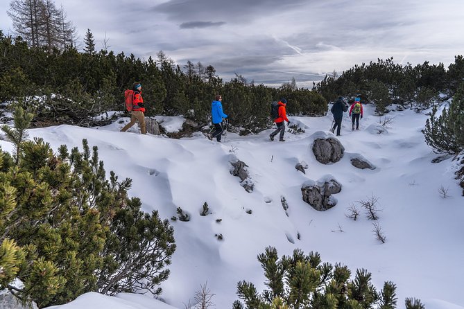 Winter Hike in Julian Alps - Meeting and Pickup Details