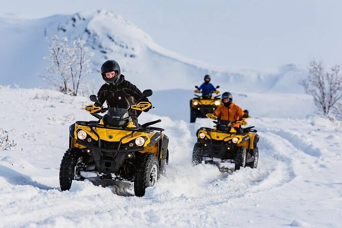 Winter Quad Bike Ride in the Arctic Circle From Rovaniemi - Tips for an Unforgettable Experience