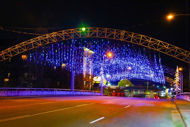 Winterfest Scenic Evening Tour - What to Expect