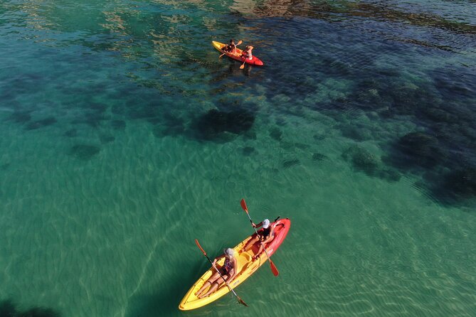 WWF Kayak Tour From Cala Manbrù to Torre Salsa Reserve - Paddle and Swim at Leisure