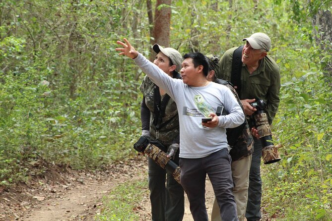 Xocen Birding - Inclusions and Accessibility