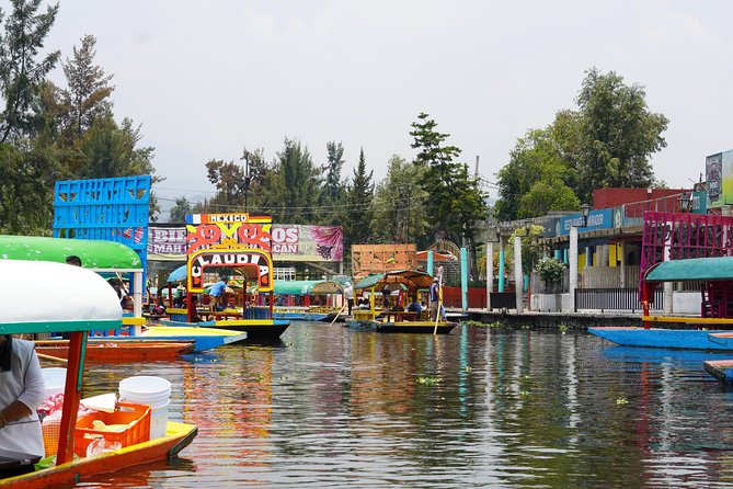 Xochimilco, Coyoacán and Frida Kahlo Museum Private Tour - Customer Feedback