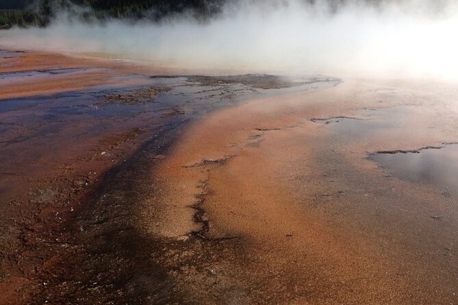 Yellowstone For Kids All-inclusive"Family Fun" Tours PU Cody Wy - Included Amenities