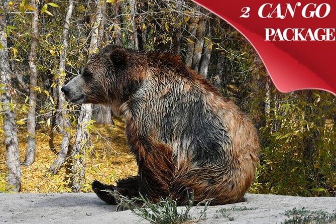 Yellowstone, Grand Teton, and Hot Springs: Small Group 5-Day Tour - Accommodations and Amenities