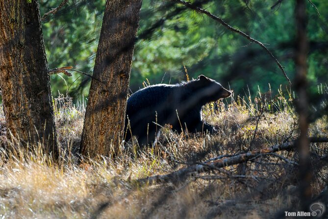 Yellowstone & Grand Teton National Parks: Small Group 3-Day Tour - Tour Inclusions and Exclusions