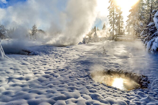 Yellowstone & Grand Teton National Parks Winter Tour: Small Group 4-Day Tour - Whats Included
