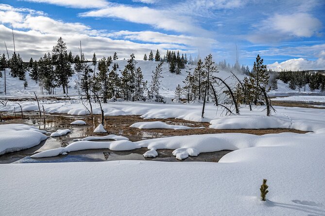 Yellowstone, Grand Teton & Utah Mighty 5 Winter Tour: Small Group 9-Day Tour - Health and Safety Guidelines