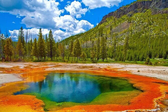 Yellowstone Lower Loop VIP Full-Day Private Tour With Lunch - Accessibility Features