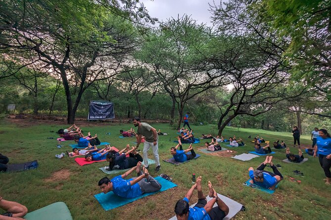 Yoga in Jaipur With Amit (Yogi on Travel) - Participant Reviews and Feedback