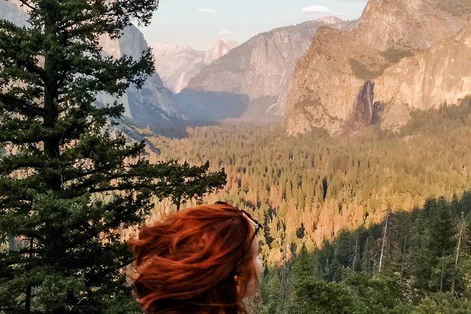 Yosemite National Park and Giant Sequoias Tour From San Jose - Navigating the Tour Logistics