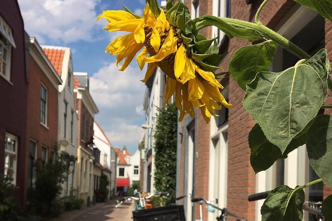 Your Own Holland. Haarlem, the Coastal Dunes and the North Sea - Accessibility and Participation