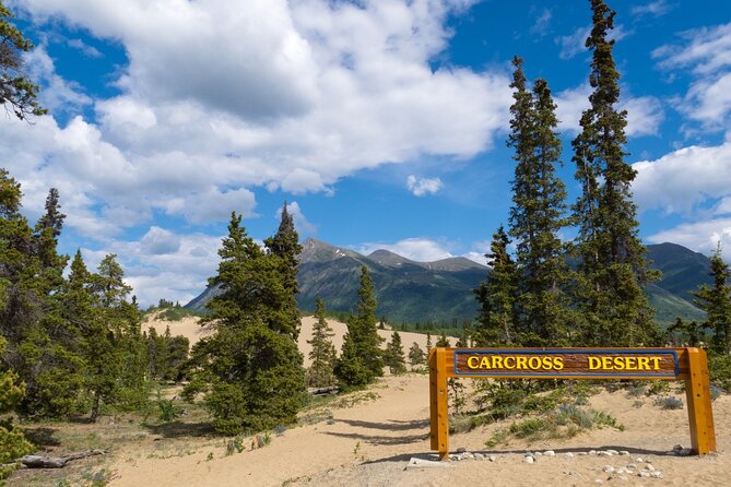 Yukon Escapade: Lakes, Wilderness, and Hidden Gems - Exploring the Wilderness Trails