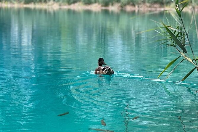 Zagreb: Plitvice Lakes With Secured Tickets, Boat And Train Ride - Immersive Walking and Boat Experience