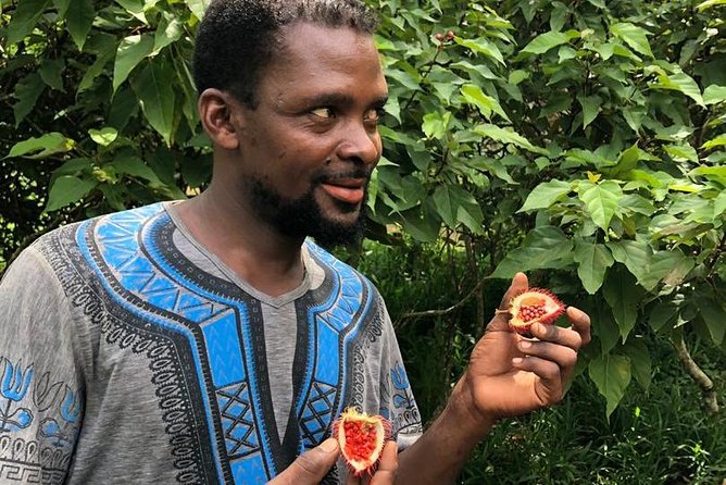 Zanzibars Finest: Private Tour of Top 5 Attractions With Lunch - Taking in the Spice Farm