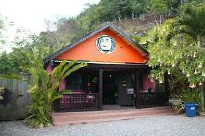 Zion Bus Line- Bob Marley Cultural Experience From Ocho Rios - Inclusions and Pricing