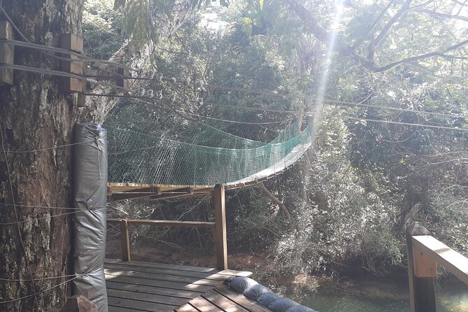 Zipline and Altun Ha From Belize City - Safety and Requirements