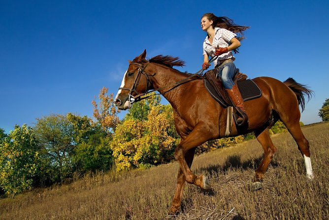 Zipline Canopy Tour & Horseback Riding Combo. Private Tour From San Jose - Meeting and Pickup Details