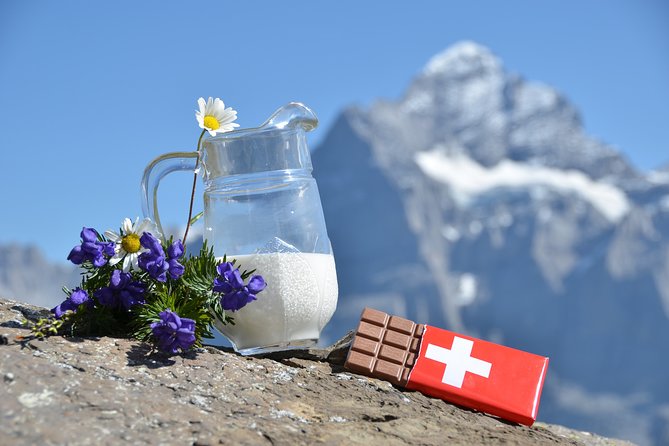 Zurich City, Lake Cruise and Chocolate (Private Tour) - Viator Help Centre Assistance