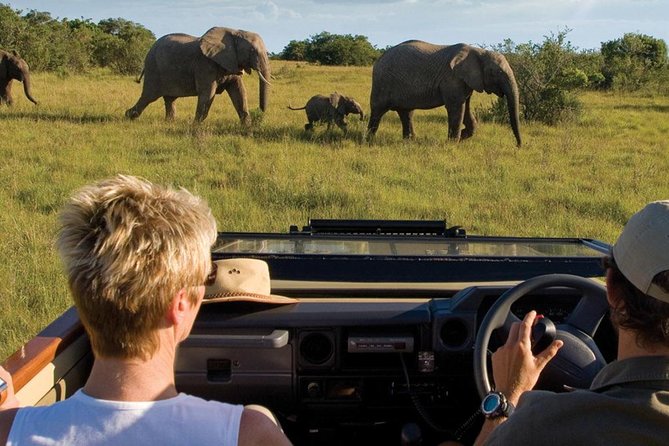4 Day Garden Route Luxe Selection Micro Group Tour From Cape Town - Good To Know