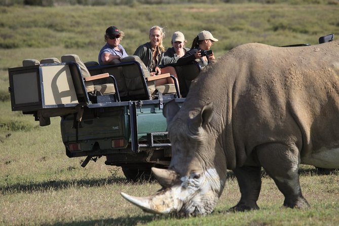 4-Day Garden Route Tours From Cape Town With Game Drive - Good To Know