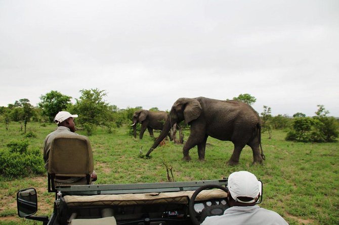 4 Day Greater Kruger National Park Adventure Safari - Good To Know