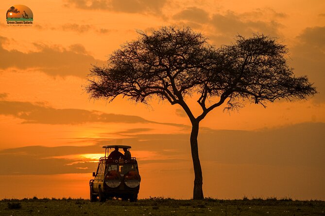 4-Day Private Masai Mara Kenya Safari Tour - Key Points