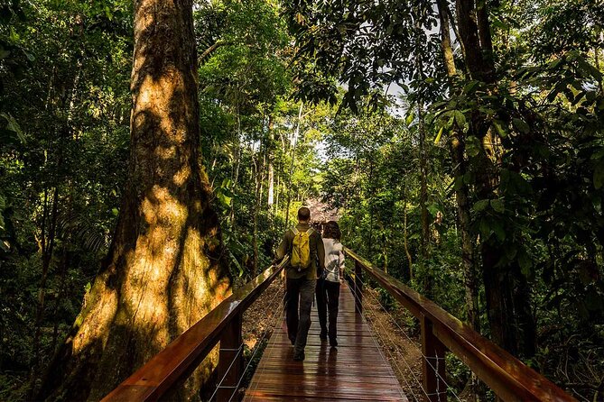 4 Day Tour in Tambopata National Reserve - Good To Know