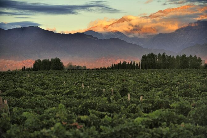 4-Day Trip to Mendoza by Air From Buenos Aires - Good To Know
