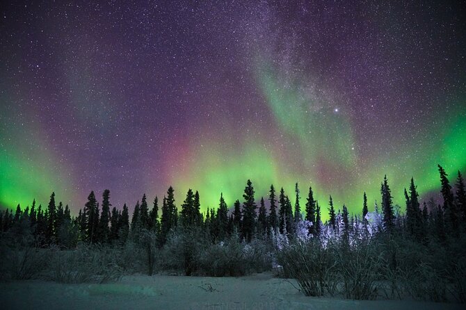 4-Day Yellowknife Aurora Tour - Tour Overview and Inclusions