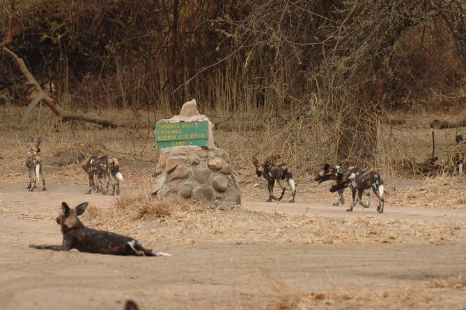 4 Days / 3 Nights Safari to Ruaha National Park - Good To Know